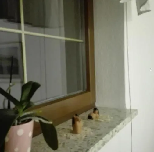 Gaestezimmer Familie Mueller 3*